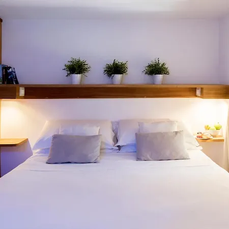 アゴラ * ソレント